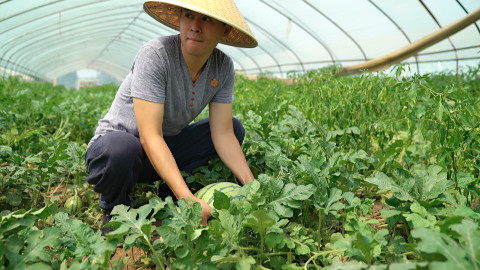 很多人都喜欢吃它,这种吃法不知道你吃过吗